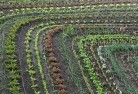 QLD Tablelandsorganic-gardening-10.jpg; ?>