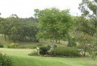 QLD Tablelandsresidential-landscaping-40.jpg; ?>